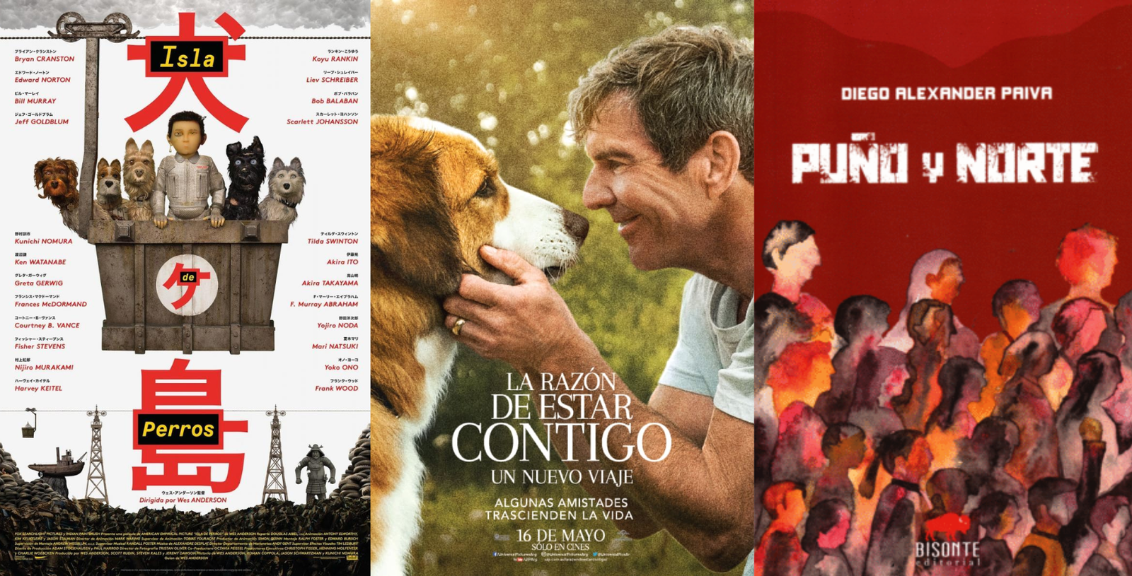 Animales callejeros que encontraron voz en el cine y la literatura