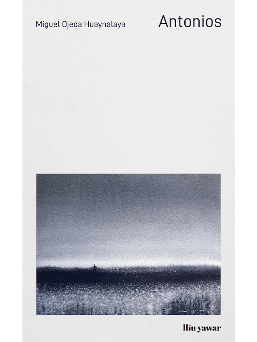 Portada de Antonios: fondo grisáceo tenue; en la esquina superior derecha, el título en negro y formato simple; en la esquina superior izquierda, el nombre del autor en negro y tamaño más pequeño; en la parte inferior, una imagen cuadrada con una pintura abstracta en blanco y negro que sugiere arbustos y la silueta de una persona entre ellos.